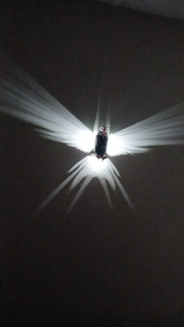 Eagle Wall Lamp | Remote Control Wall Lamp